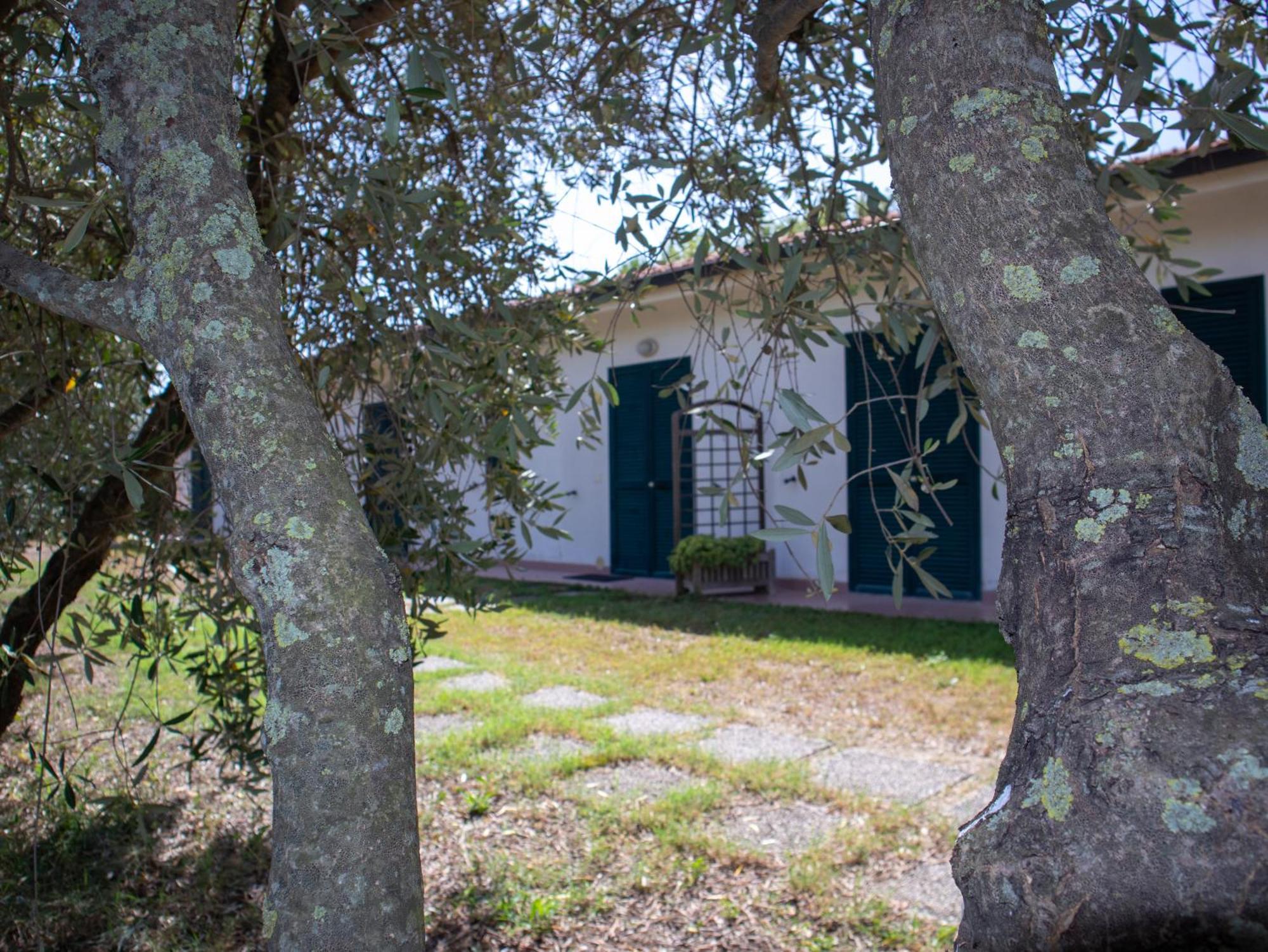 Agriturismo I Gelsi Марина-ди-Гроссето Экстерьер фото